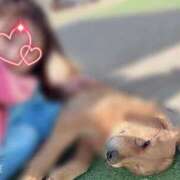 ヒメ日記 2026/01/27 08:07 投稿 川島 変態美熟女お貸しします。