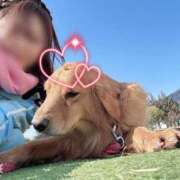 ヒメ日記 2026/02/07 11:36 投稿 川島 変態美熟女お貸しします。