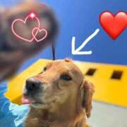 ヒメ日記 2026/02/10 06:15 投稿 川島 変態美熟女お貸しします。