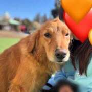 ヒメ日記 2026/02/11 10:12 投稿 川島 変態美熟女お貸しします。