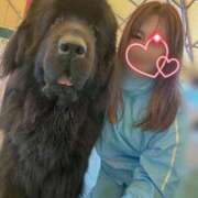 ヒメ日記 2026/02/16 10:01 投稿 川島 変態美熟女お貸しします。