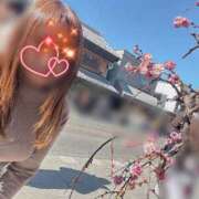 ヒメ日記 2026/02/22 12:50 投稿 川島 変態美熟女お貸しします。