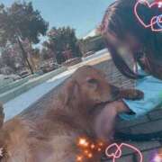 ヒメ日記 2026/03/10 09:01 投稿 川島 変態美熟女お貸しします。