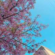 ヒメ日記 2026/03/11 17:48 投稿 川島 変態美熟女お貸しします。