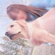 ヒメ日記 2026/03/18 10:45 投稿 川島 変態美熟女お貸しします。