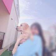 ヒメ日記 2026/03/19 09:02 投稿 川島 変態美熟女お貸しします。