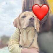 ヒメ日記 2026/03/29 06:28 投稿 川島 変態美熟女お貸しします。