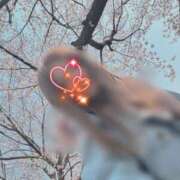 ヒメ日記 2026/03/31 09:23 投稿 川島 変態美熟女お貸しします。