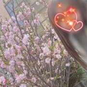 ヒメ日記 2026/04/04 10:33 投稿 川島 変態美熟女お貸しします。