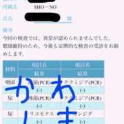 ヒメ日記 2026/04/06 12:23 投稿 川島 変態美熟女お貸しします。