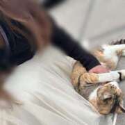 ヒメ日記 2026/04/10 12:11 投稿 川島 変態美熟女お貸しします。