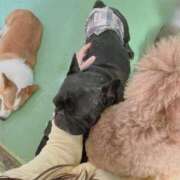 川島 もうアレがないとダメな身体に 変態美熟女お貸しします。