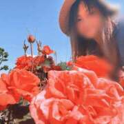 ヒメ日記 2026/05/12 12:16 投稿 川島 変態美熟女お貸しします。