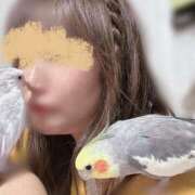 ヒメ日記 2026/06/20 07:40 投稿 川島 変態美熟女お貸しします。