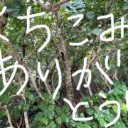 ヒメ日記 2026/07/07 08:05 投稿 川島 変態美熟女お貸しします。