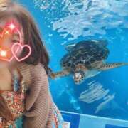 ヒメ日記 2026/08/18 18:41 投稿 川島 変態美熟女お貸しします。