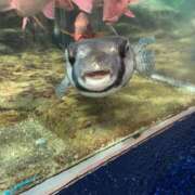 ヒメ日記 2025/04/03 10:12 投稿 みさき モアグループ大宮人妻花壇