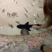 ヒメ日記 2025/10/03 10:06 投稿 みさき モアグループ大宮人妻花壇