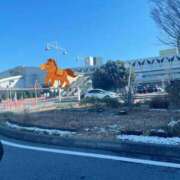 ヒメ日記 2026/01/03 18:03 投稿 みさき モアグループ大宮人妻花壇