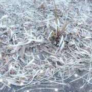 ヒメ日記 2026/01/08 09:00 投稿 みさき モアグループ大宮人妻花壇