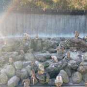 ヒメ日記 2026/01/12 09:33 投稿 みさき モアグループ大宮人妻花壇