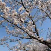 みさき ついに見た モアグループ大宮人妻花壇