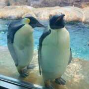 みさき お昼寝 モアグループ大宮人妻花壇