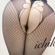 ヒメ日記 2025/01/05 00:16 投稿 園崎いちか 奴隷志願！変態調教飼育クラブ梅田店