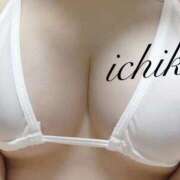 ヒメ日記 2025/08/27 15:54 投稿 園崎いちか 奴隷志願！変態調教飼育クラブ梅田店