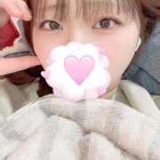 ヒメ日記 2025/11/10 20:50 投稿 もこ 君を舐めたくて学園