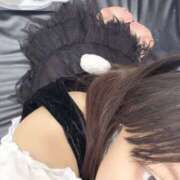 ヒメ日記 2025/11/19 10:00 投稿 美園ゆり ピアニッシモ