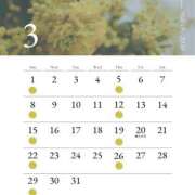 ヒメ日記 2026/03/01 07:00 投稿 美園ゆり ピアニッシモ