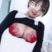 ヒメ日記 2025/10/22 10:41 投稿 凪沙(なぎさ) 人妻城 横浜本店