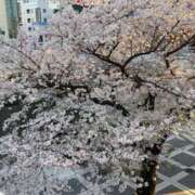 ヒメ日記 2025/04/08 17:57 投稿 あつこ 熟女の風俗最終章 本厚木店