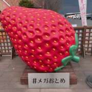 ヒメ日記 2025/04/16 11:28 投稿 あつこ 熟女の風俗最終章 本厚木店