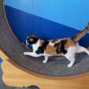 ヒメ日記 2025/05/16 09:11 投稿 あつこ 熟女の風俗最終章 本厚木店