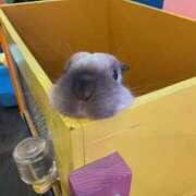 ヒメ日記 2025/05/31 13:25 投稿 あつこ 熟女の風俗最終章 本厚木店