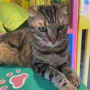 ヒメ日記 2025/09/20 21:32 投稿 あつこ 熟女の風俗最終章 本厚木店