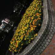 ヒメ日記 2025/11/16 16:41 投稿 あつこ 熟女の風俗最終章 本厚木店