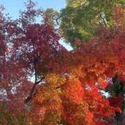 あつこ 土曜日のありがとうと明日から 熟女の風俗最終章 本厚木店