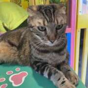 ヒメ日記 2025/12/31 13:01 投稿 あつこ 熟女の風俗最終章 本厚木店