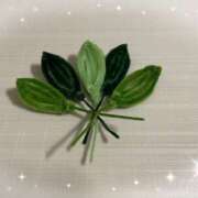 ヒメ日記 2026/02/13 10:22 投稿 あつこ 熟女の風俗最終章 本厚木店