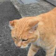 ヒメ日記 2025/02/15 00:20 投稿 ひかる ふぞろいの人妻たち