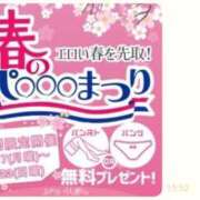 ヒメ日記 2025/03/22 13:20 投稿 ひかる ふぞろいの人妻たち