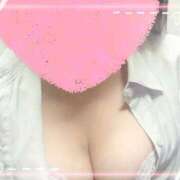 ヒメ日記 2025/03/08 19:04 投稿 ひな奥様 なすがママされるがママ