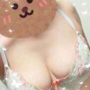 ヒメ日記 2025/08/25 09:36 投稿 ひな奥様 なすがママされるがママ