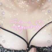 ヒメ日記 2025/09/29 19:02 投稿 ふみ奥様 なすがママされるがママ