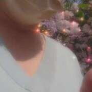 ヒメ日記 2025/04/08 11:31 投稿 なみ 奥様特急　池袋・大塚店