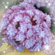 ヒメ日記 2025/04/30 18:05 投稿 なみ 奥様特急　池袋・大塚店