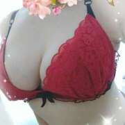 ヒメ日記 2025/05/17 11:50 投稿 なみ 奥様特急　池袋・大塚店